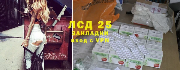 PSILOCYBIN Абинск