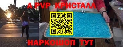 гашик Тайшет