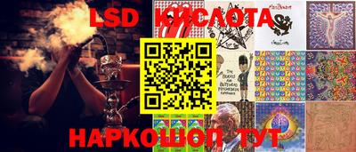 гашик Тайшет
