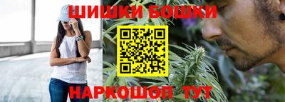 гашик Тайшет