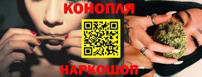 гашик Тайшет
