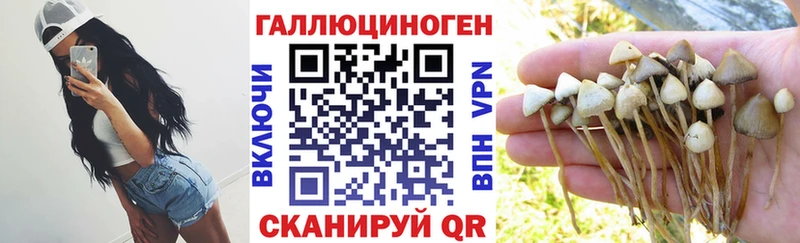 Галлюциногенные грибы мицелий  Александров 