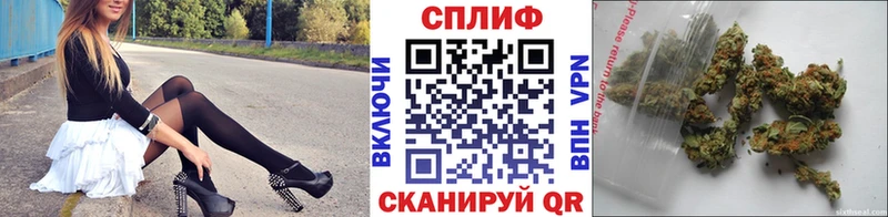 мориарти формула  где найти наркотики  Александров  Бошки марихуана семена 